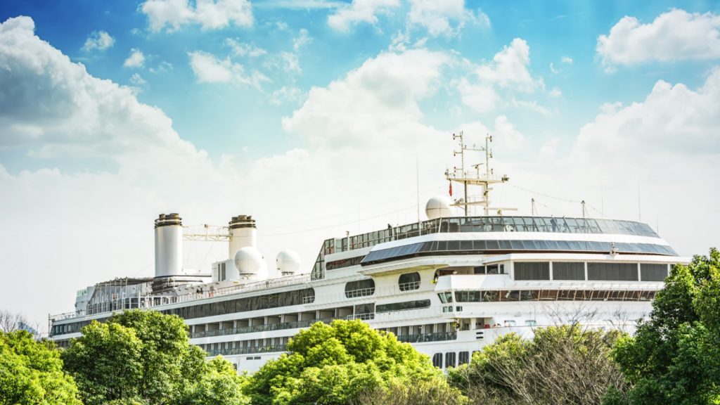 Choisir un grand navire de croisière pour votre premier voyage