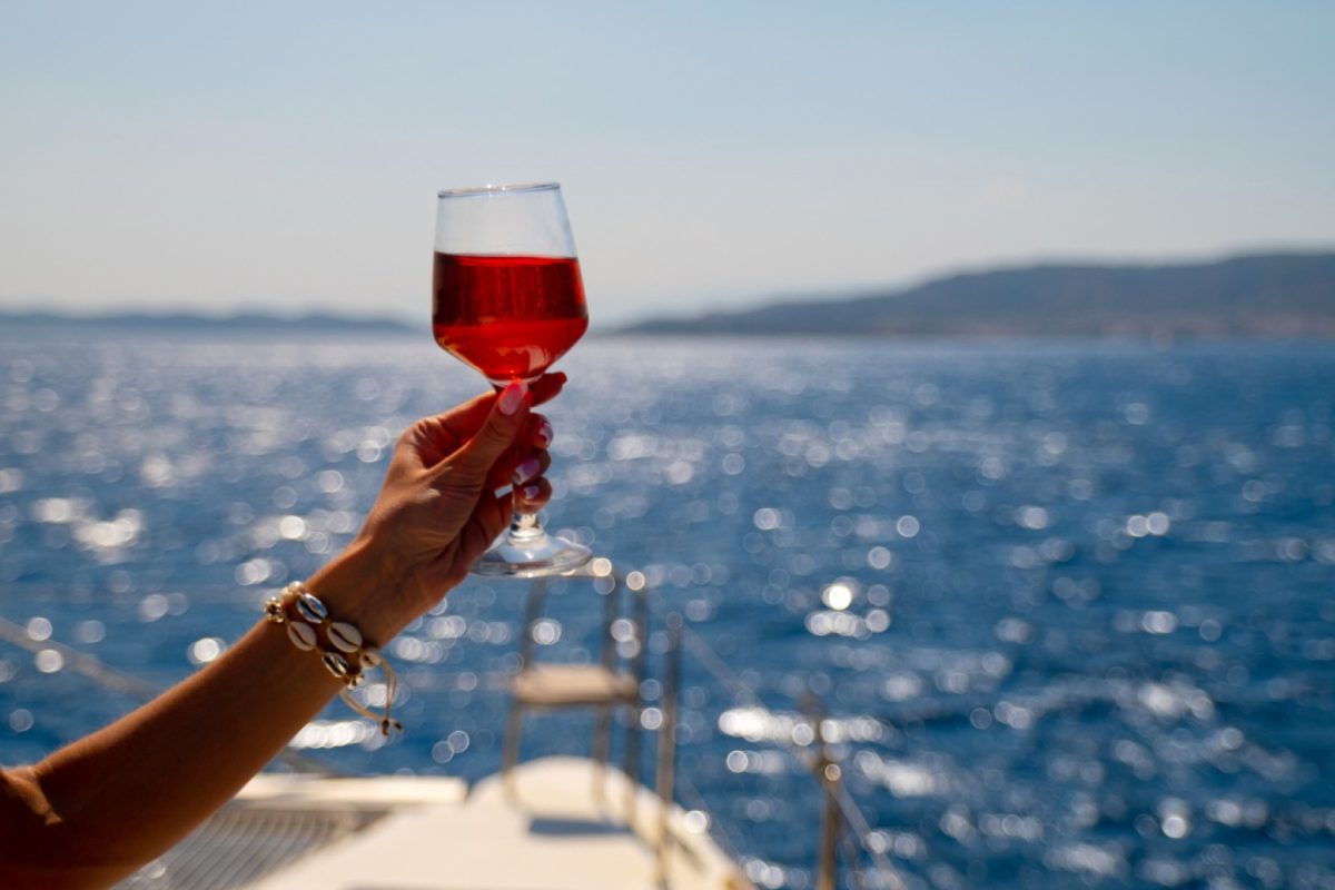 Voguer entre vignes et flots : croisière enivrante des vins de bordeaux sur la garonne