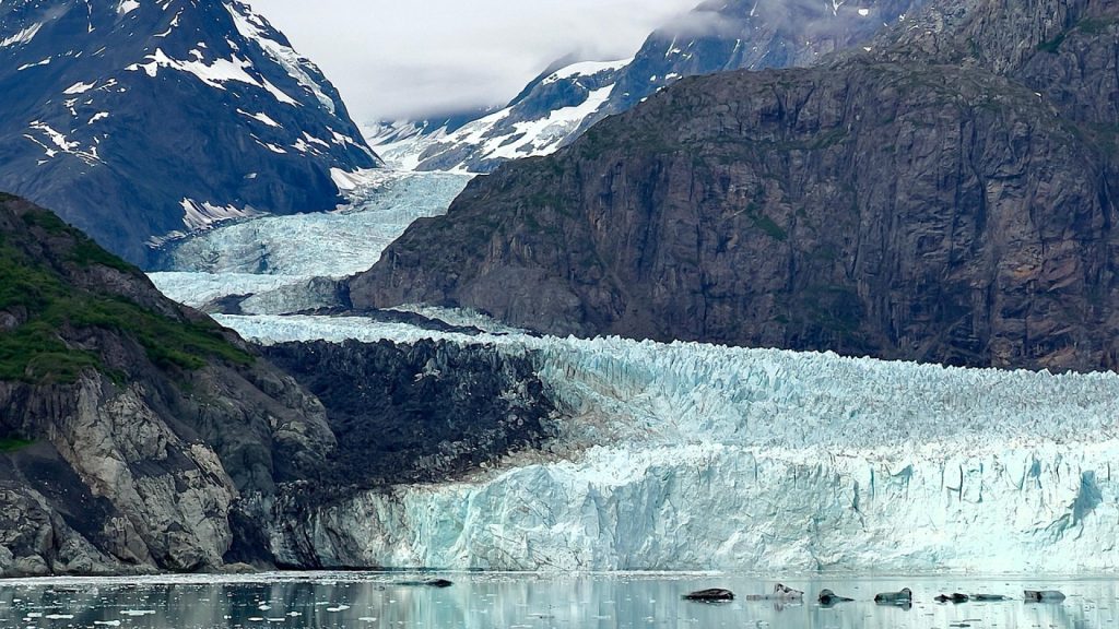 Croisière en Antarctique : explorez le continent blanc d'une manière inoubliable !
