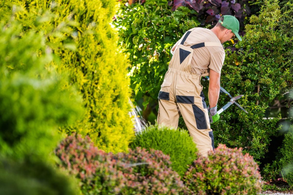 Comment choisir le meilleur paysagiste à Mouvaux pour votre jardin ?