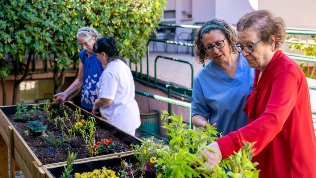 Jardin potager en maison de retraite : un projet au service du bien-être
