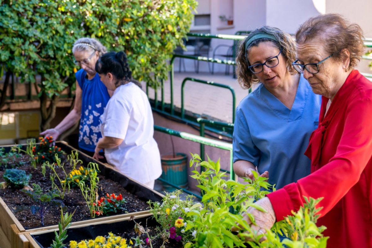 Jardin potager en maison de retraite : un projet au service du bien-être