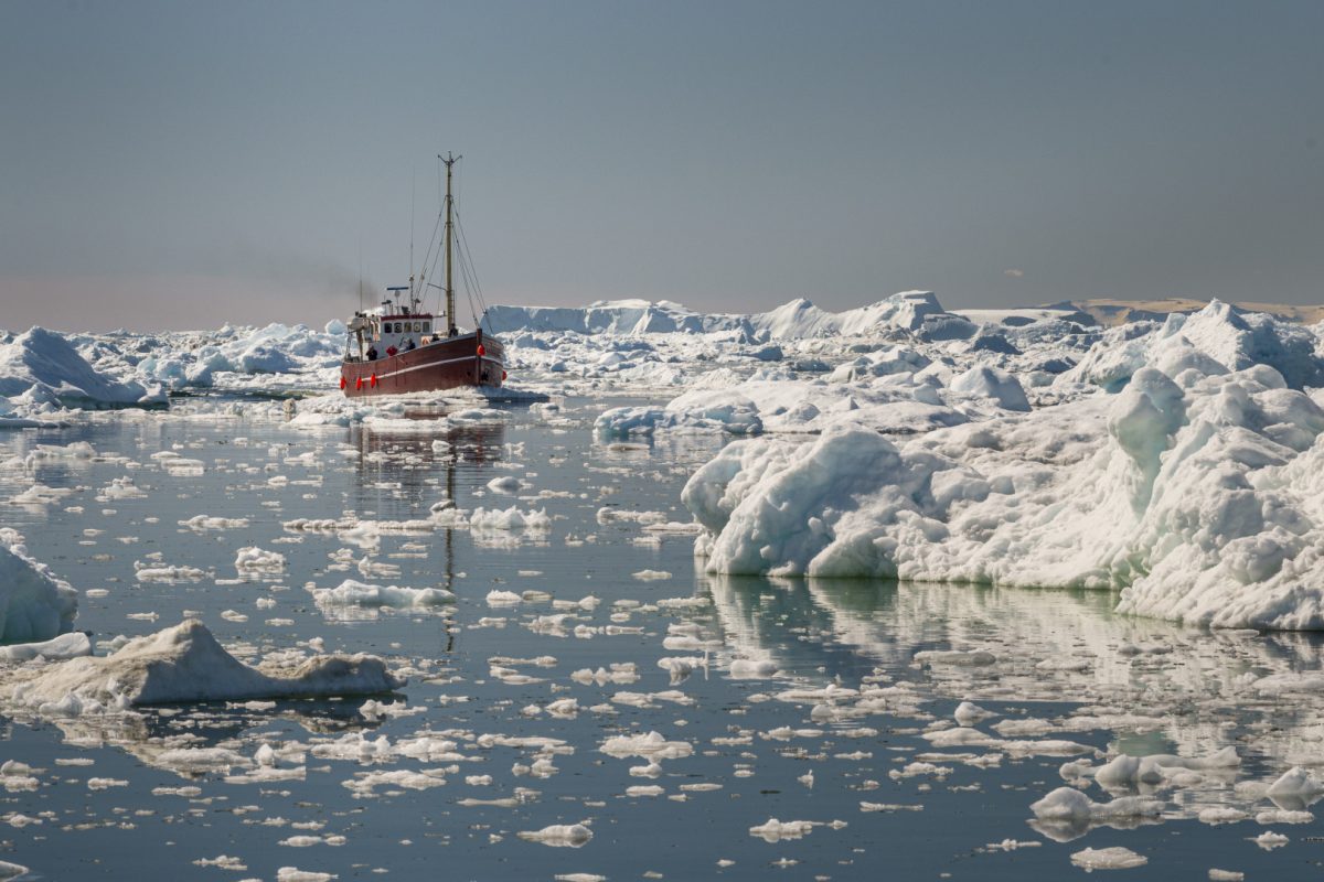 Naviguer vers l’antarctique : comprendre ce voyage hors norme