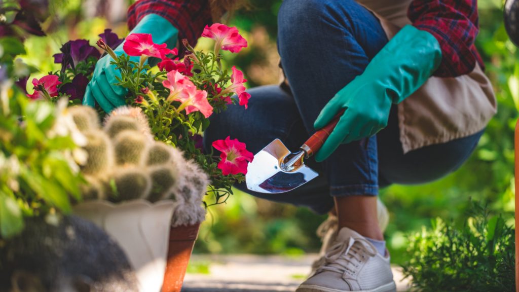 Comment entretenir son jardin facilement avec un service à domicile ?