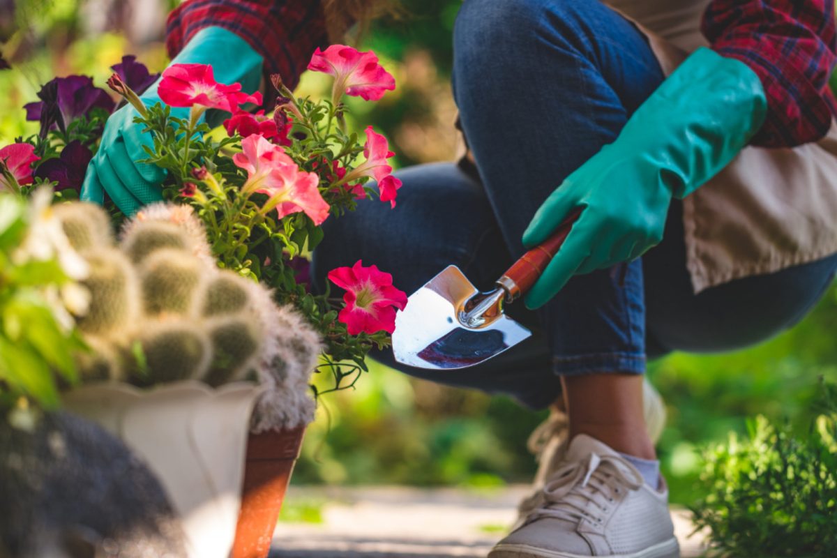 Comment entretenir son jardin facilement avec un service à domicile ?