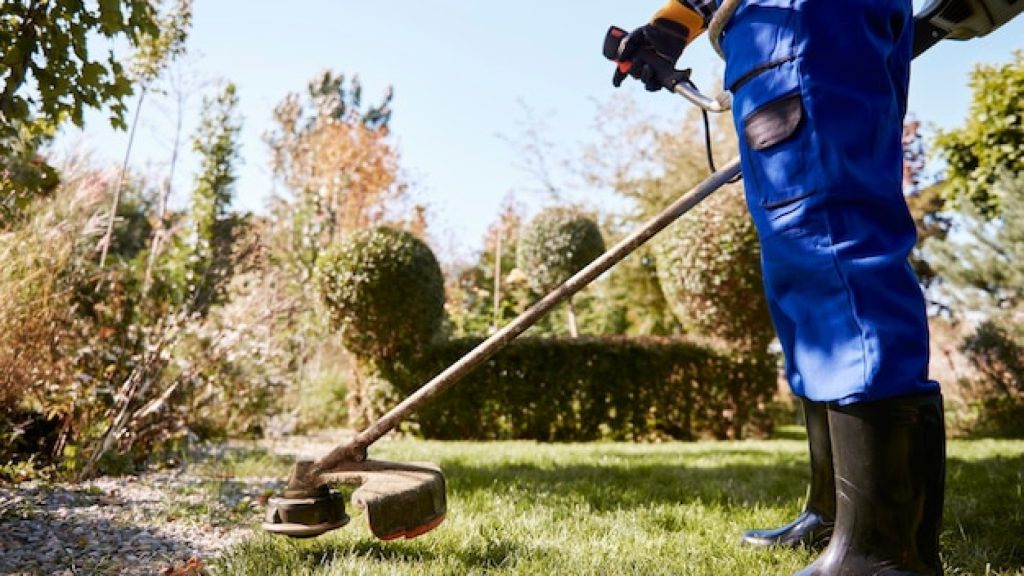 Pourquoi confier son jardin à un professionnel peut changer votre quotidien ?