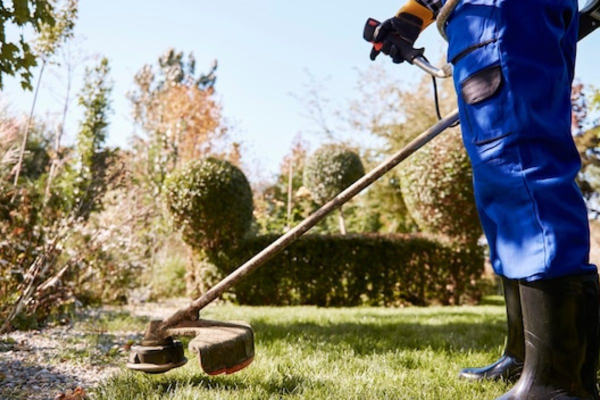 Pourquoi confier son jardin à un professionnel peut changer votre quotidien ?