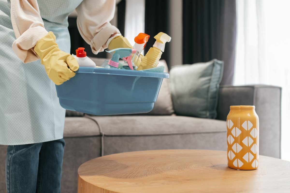 Services à domicile : une offre complète de ménage, jardinage, aide et bien plus !