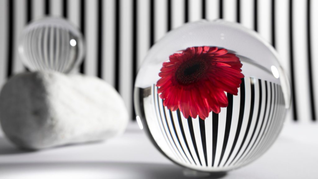 Fleurs et déco design : comment composer le parfait cadeau d'anniversaire ?