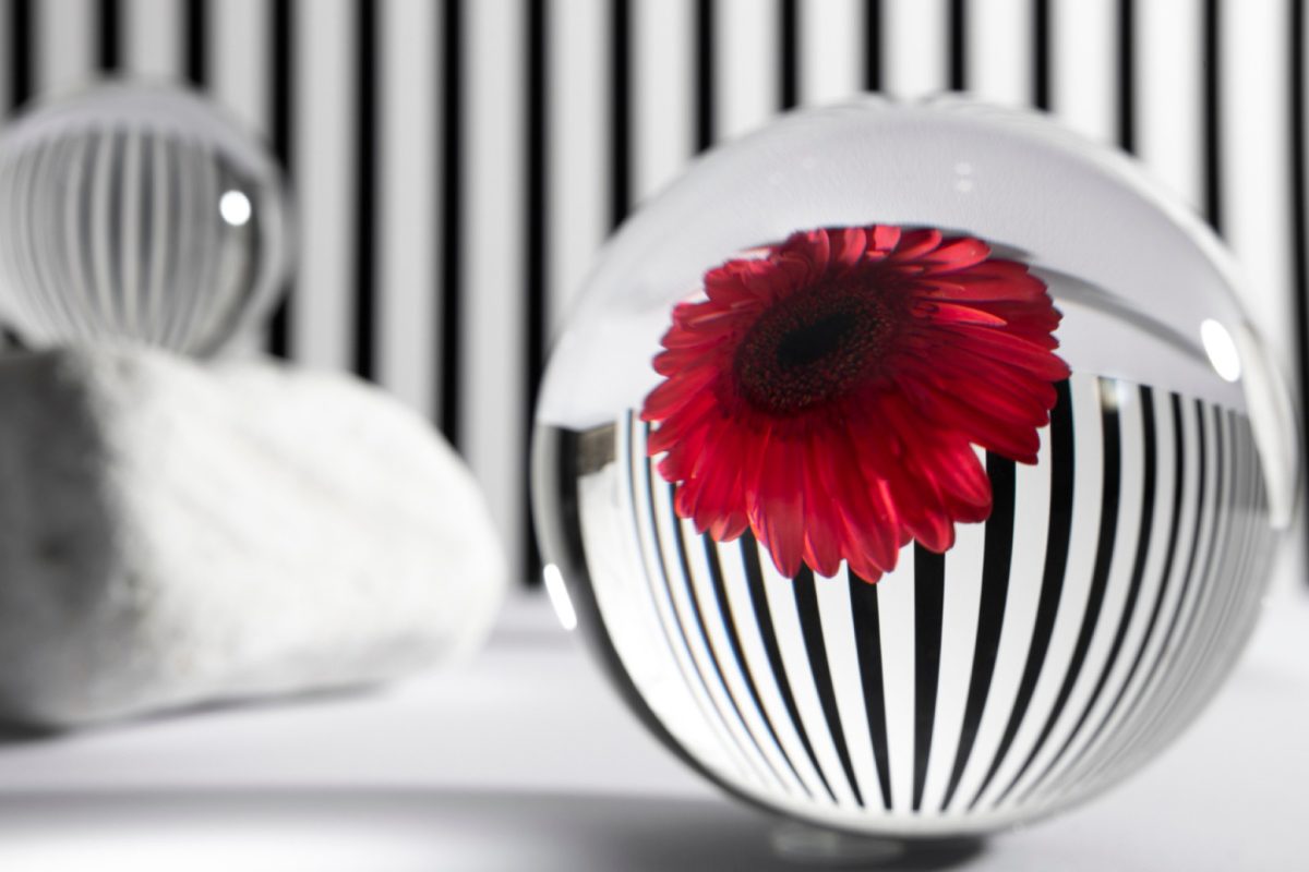 Fleurs et déco design : comment composer le parfait cadeau d'anniversaire ?